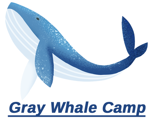 Gray whale camp